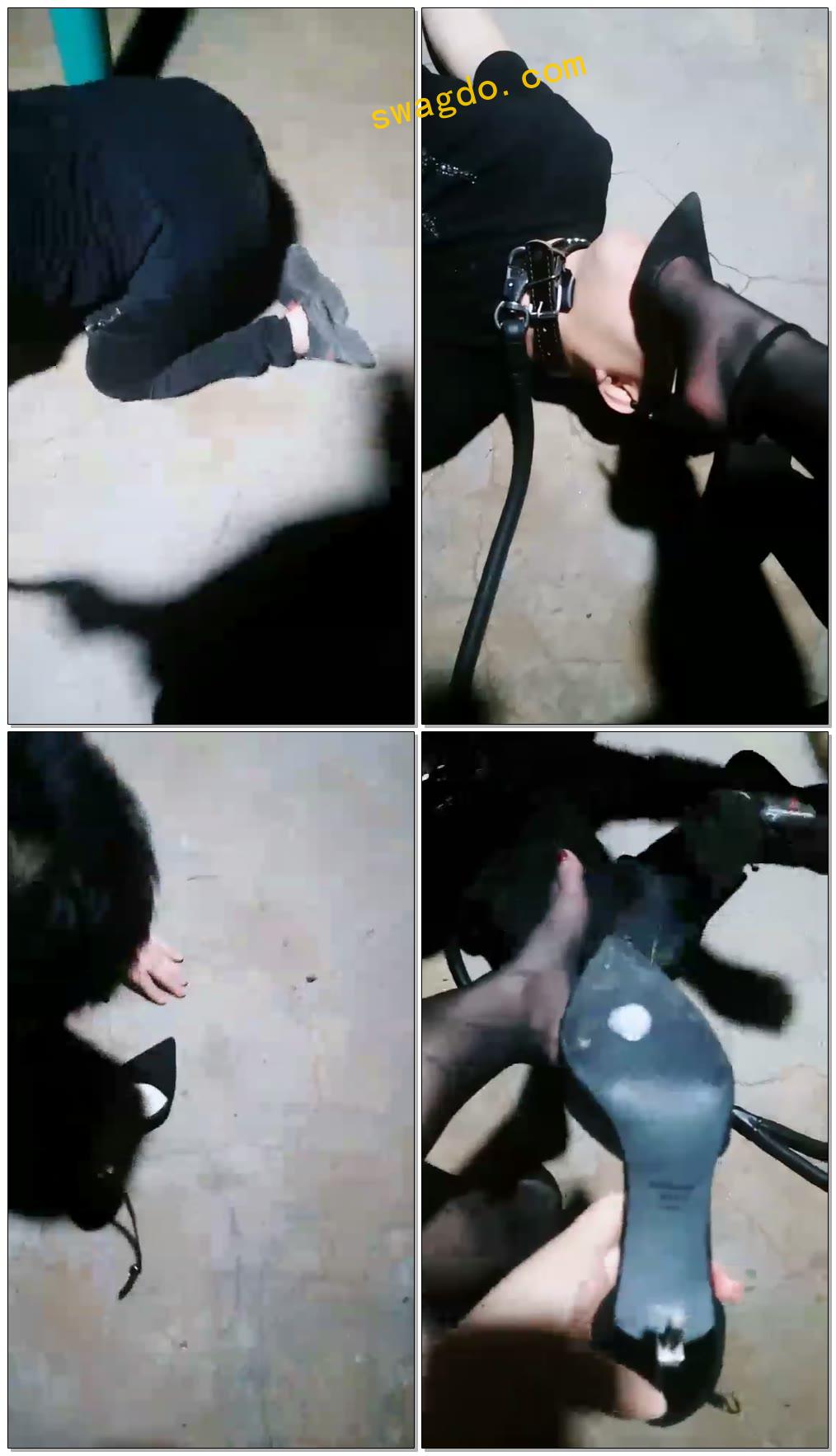 【丝皇女王】户外课玩圈养狗【41分钟】