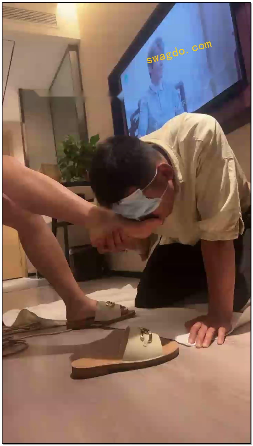 【西西小主】踢裆鞭打舔脚【17分钟】 【西西小主】踢裆鞭打舔脚【17分钟】