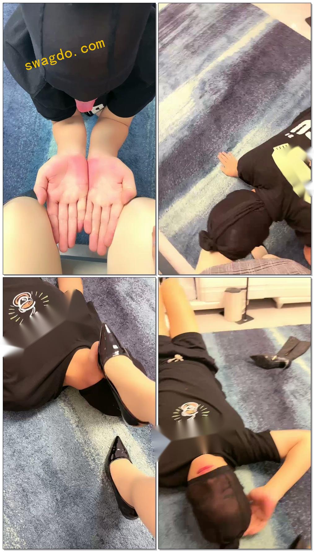【婉婷殿下】伺候主人回家的贱畜牲【40分钟】 【婉婷殿下】伺候主人回家的贱畜牲【40分钟】