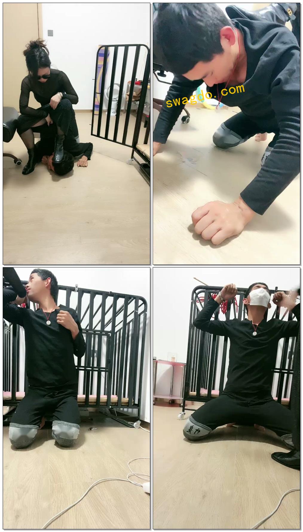 【薇薇情侣主】主人的黄金狗又来了【35分钟】 【薇薇情侣主】主人的黄金狗又来了【35分钟】